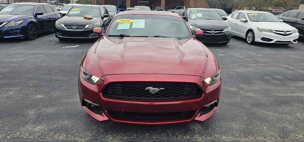 2016 Ford Mustang EcoBoost's photo
